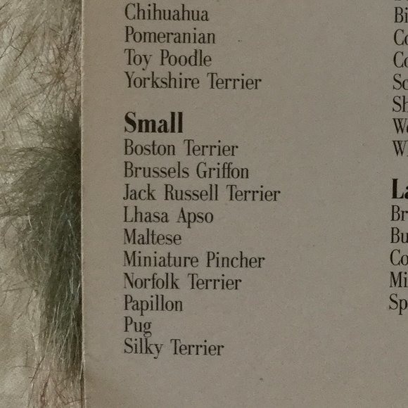 Dog Neck Warmer Small NEW - Picture 9 of 9